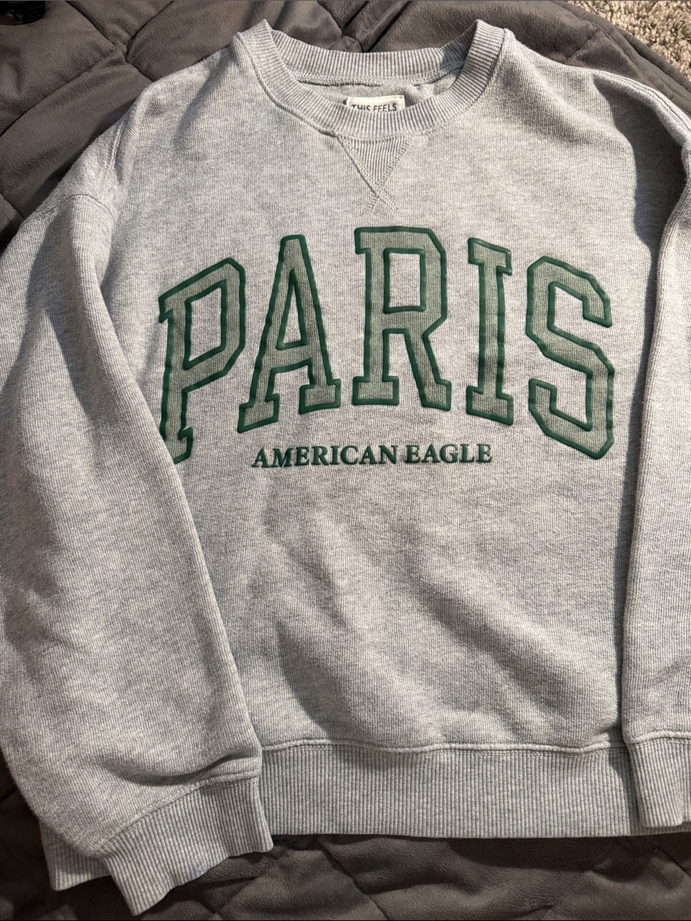 American Eagle Outfitters Gray Crewneck with Green "PARIS" Graphic